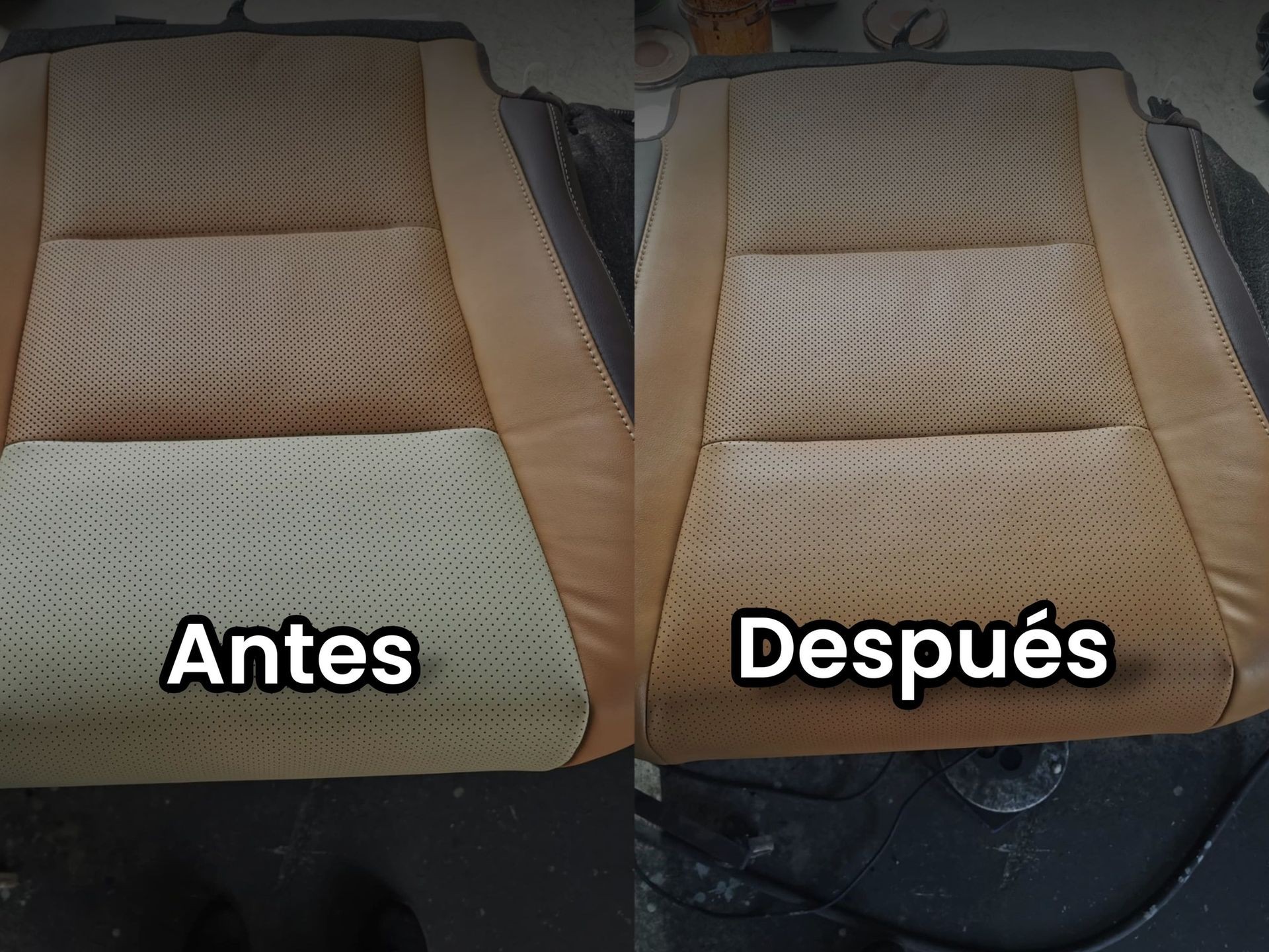 restauración piel asiento coche